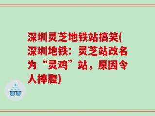 深圳灵芝地铁站搞笑(深圳地铁：灵芝站改名为“灵鸡”站，原因令人捧腹)