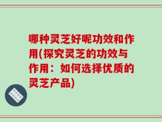 哪种灵芝好呢功效和作用(探究灵芝的功效与作用：如何选择优质的灵芝产品)