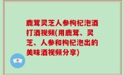 鹿茸灵芝人参枸杞泡酒打酒视频(用鹿茸、灵芝、人参和枸杞泡出的美味酒视频分享)
