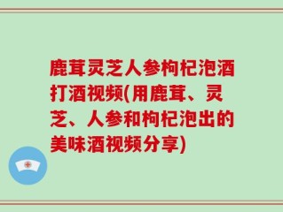 鹿茸灵芝人参枸杞泡酒打酒视频(用鹿茸、灵芝、人参和枸杞泡出的美味酒视频分享)