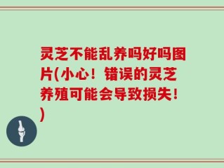 灵芝不能乱养吗好吗图片(小心！错误的灵芝养殖可能会导致损失！)