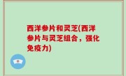 西洋参片和灵芝(西洋参片与灵芝组合，强化免疫力)