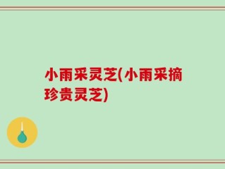 小雨采灵芝(小雨采摘珍贵灵芝)