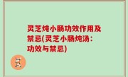 灵芝炖小肠功效作用及禁忌(灵芝小肠炖汤：功效与禁忌)