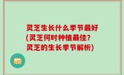 灵芝生长什么季节最好(灵芝何时种植最佳？灵芝的生长季节解析)