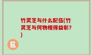 竹灵芝与什么配伍(竹灵芝与何物相得益彰？)