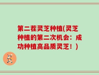 第二茬灵芝种植(灵芝种植的第二次机会：成功种植高品质灵芝！)