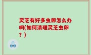 灵芝有好多虫卵怎么办啊(如何清理灵芝虫卵？)