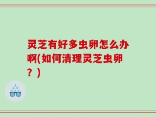 灵芝有好多虫卵怎么办啊(如何清理灵芝虫卵？)