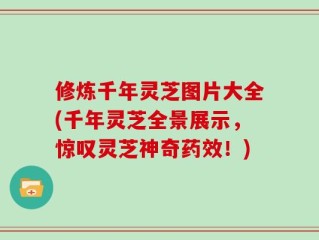 修炼千年灵芝图片大全(千年灵芝全景展示，惊叹灵芝神奇药效！)
