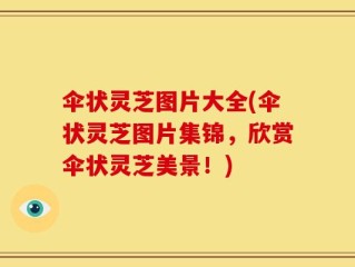 伞状灵芝图片大全(伞状灵芝图片集锦，欣赏伞状灵芝美景！)