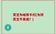灵芝为啥弄不烂(为何灵芝不易腐？)