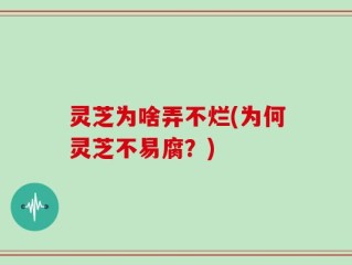 灵芝为啥弄不烂(为何灵芝不易腐？)