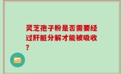 灵芝孢子粉是否需要经过肝脏分解才能被吸收？