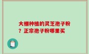 大棚种植的灵芝孢子粉？正宗孢子粉哪里买