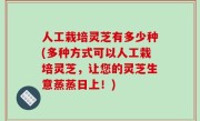 人工栽培灵芝有多少种(多种方式可以人工栽培灵芝，让您的灵芝生意蒸蒸日上！)