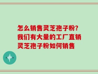 怎么销售灵芝孢子粉？我们有大量的工厂直销灵芝孢子粉如何销售