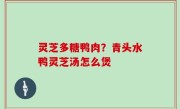 灵芝多糖鸭肉？青头水鸭灵芝汤怎么煲