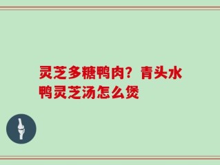 灵芝多糖鸭肉？青头水鸭灵芝汤怎么煲