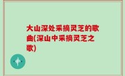 大山深处采摘灵芝的歌曲(深山中采摘灵芝之歌)