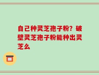 自己种灵芝孢子粉？破壁灵芝孢子粉能种出灵芝么