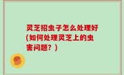 灵芝招虫子怎么处理好(如何处理灵芝上的虫害问题？)