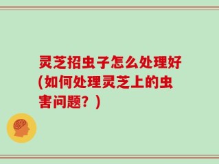 灵芝招虫子怎么处理好(如何处理灵芝上的虫害问题？)