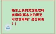 柘木上长的灵芝能吃吗有毒吗(柘木上的灵芝可以食用吗？是否有毒？)