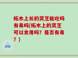 柘木上长的灵芝能吃吗有毒吗(柘木上的灵芝可以食用吗？是否有毒？)