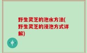 野生灵芝的泡水方法(野生灵芝的浸泡方式详解)