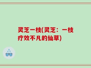 灵芝一枝(灵芝：一枝疗效不凡的仙草)