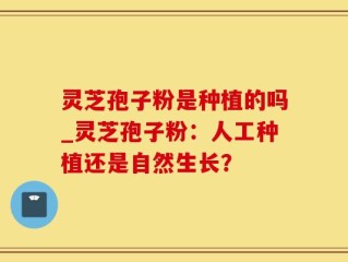 灵芝孢子粉是种植的吗_灵芝孢子粉：人工种植还是自然生长？