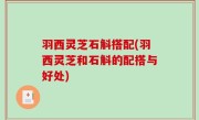 羽西灵芝石斛搭配(羽西灵芝和石斛的配搭与好处)