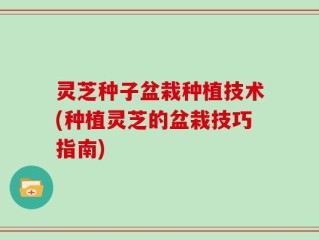 灵芝种子盆栽种植技术(种植灵芝的盆栽技巧指南)