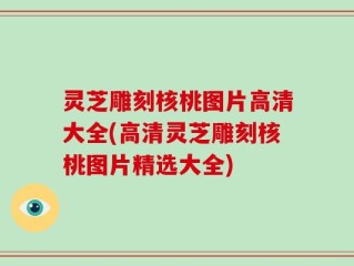 灵芝雕刻核桃图片高清大全(高清灵芝雕刻核桃图片精选大全)