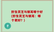 野生灵芝与银耳哪个好(野生灵芝与银耳：哪个更好？)