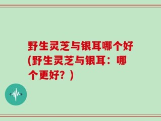 野生灵芝与银耳哪个好(野生灵芝与银耳：哪个更好？)