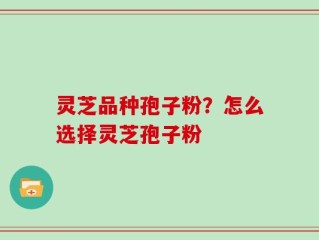 灵芝品种孢子粉？怎么选择灵芝孢子粉