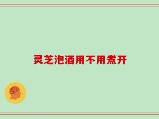 灵芝泡酒用不用煮开