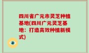 四川省广元市灵芝种植基地(四川广元灵芝基地：打造高效种植新模式)