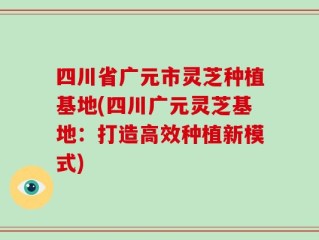 四川省广元市灵芝种植基地(四川广元灵芝基地：打造高效种植新模式)