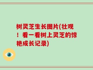 树灵芝生长图片(壮观！看一看树上灵芝的惊艳成长记录)