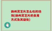 扬州灵芝片怎么吃的功效(扬州灵芝片的食用方式及其益处)