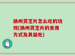 扬州灵芝片怎么吃的功效(扬州灵芝片的食用方式及其益处)