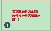 灵芝酒10斤怎么配(如何将10斤灵芝酒分配？)