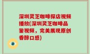 深圳灵芝咖啡探店视频播放(深圳灵芝咖啡品鉴视频，完美展现原创香醇口感)