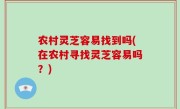 农村灵芝容易找到吗(在农村寻找灵芝容易吗？)
