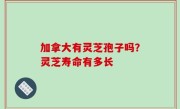 加拿大有灵芝孢子吗？灵芝寿命有多长