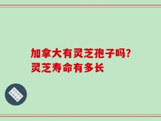 加拿大有灵芝孢子吗？灵芝寿命有多长