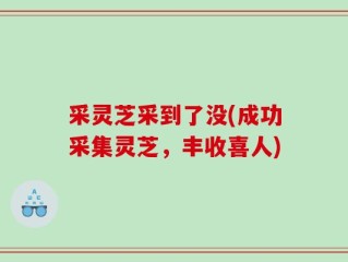 采灵芝采到了没(成功采集灵芝，丰收喜人)